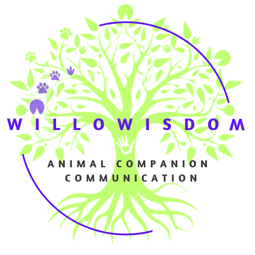 WilloWisdoM Logo